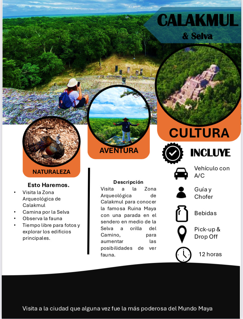 Calakmul Tour From Bacalar and Chetumal