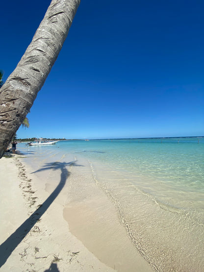 Paysage de plage et ruines de Mahahual