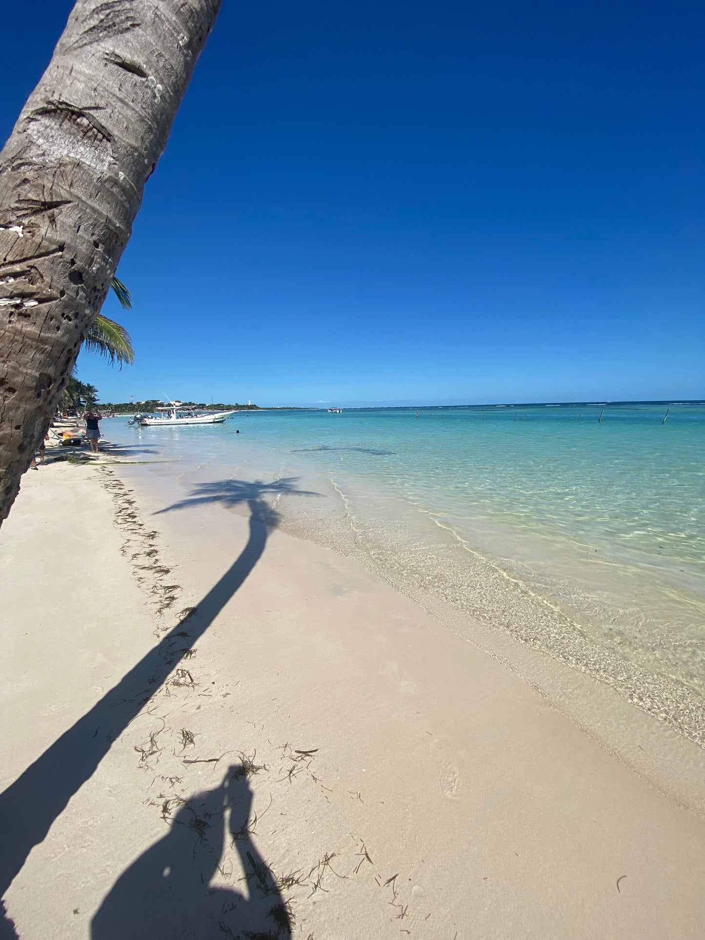 Paysage de plage et ruines de Mahahual