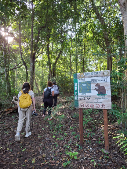 Calakmul Tour From Bacalar and Chetumal